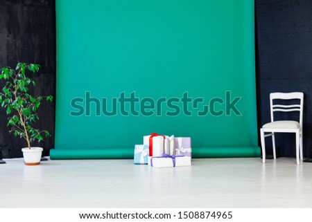 black green background in the interior of the room chair and evergreen plant