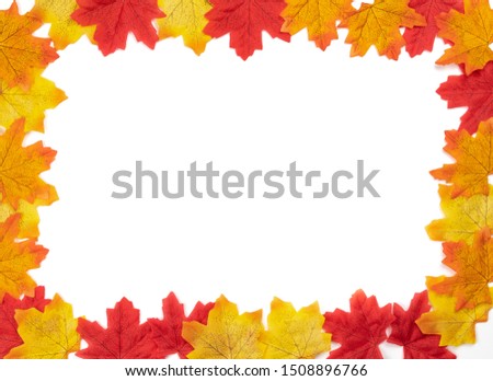 Top view Autumn frames maple leaves texture. Background center blank for write text leaves isolate on white background. Nature background, Flat lay patterns