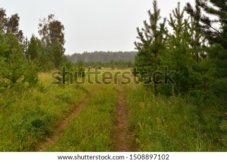 Natural rural landscape with a country dirt road. Quiet and rustic place. Idyllic beautiful wallpaper