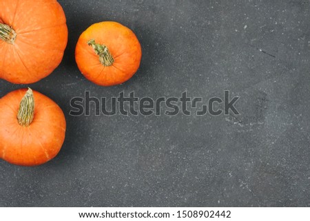 small orange pumpkins on a rough dark gray background