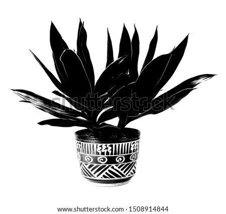 Silhouette collection beautiful ornamental plants for the garden and home ,Black decorative plants in black pots on a white background  , Isolated tree.