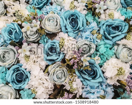 Colorful flowers wall background with amazing blue and green roses. Wedding or anniversary decoration of few kinds of mixed blooming flowers. Closeup, focused view.