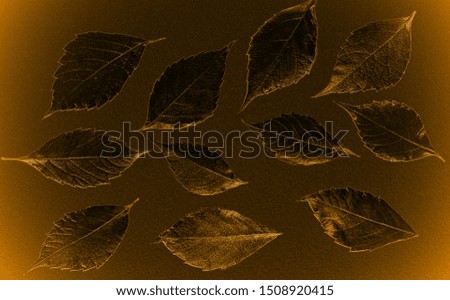 autumn leaves lie on bright paper background image