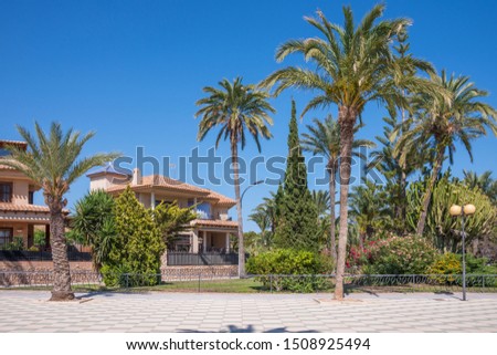 Avenue with palm trees and residential homes on the maritime avenue of Los Alcazeres in the Manga del Mar Menor, Murcia, Spain