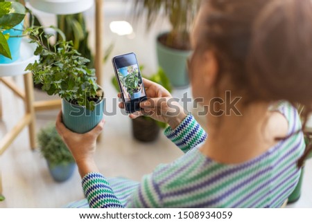 Woman taking photo of potted plant with smartphone
