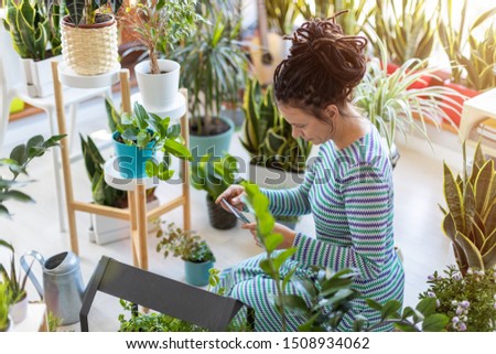 Woman taking photo of potted plant with smartphone
