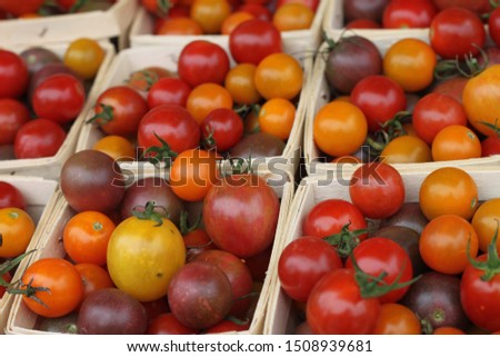 A market display of fresh tomatoes. 2994
