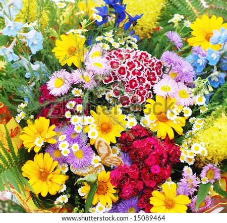 An enormous bouquet from varicoloured colors filling all shot