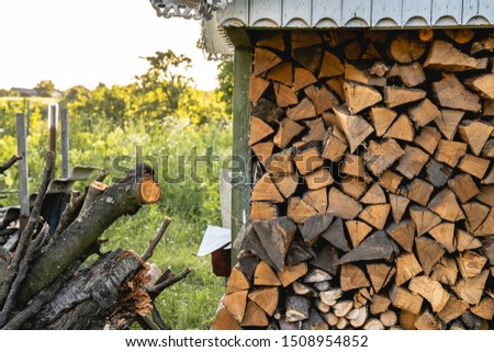 Countryside. Stacked firewood outdoor, green nature, summer in the village, backyard