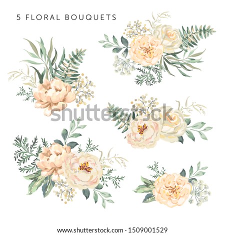 Creamy roses, peonies with green leaves bouquets, white background. Set of the floral arrangements. Vector illustration. Romantic garden flowers. Wedding design clip art