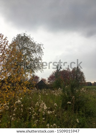 Autumn landscape. Kirov region. Russia.