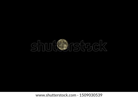 Moon in the moonlight on a black background