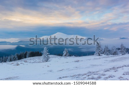Incredible winter landscape with colorful sky. Frosty morning on the highland farm. Amazing sunrise in Carpathian mountains, Ukraine, Europe. Christmas holiday concept. Perfect winter wallpaper. 