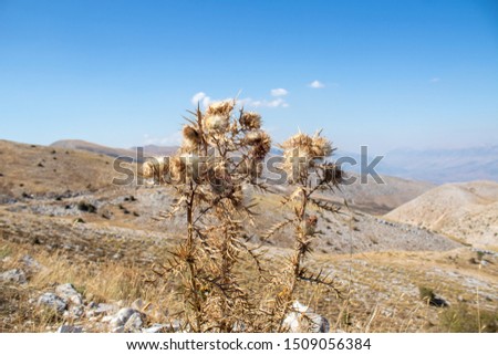 albanian nature in autumn. photos captured in gjirokaster south albania