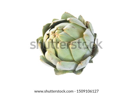 artichoke flower Isolated on white background including clipping path