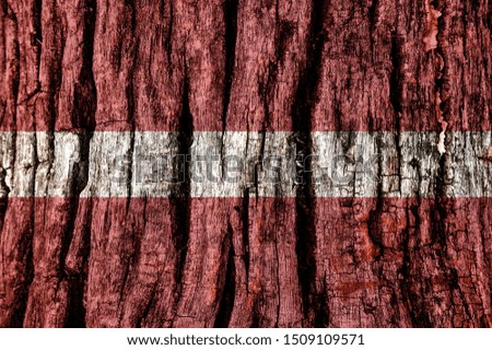 Latvia flag painted on old decrepit wooden surface. Textured creative background for design.