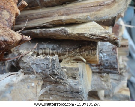 Heap of firewood in the rural