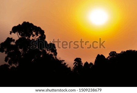 The colors and silhouette of objects on a late winter afternoon in southern Brazil, bordering Uruguay. Sunset in tropical region with tropical colors and hues. Dusk landscapes