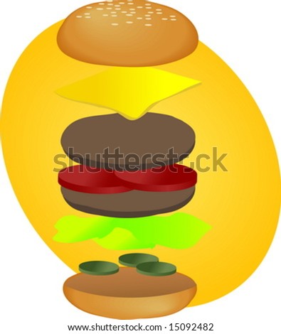 Hamburger illustration, breakdown into sections, fastfood diagram