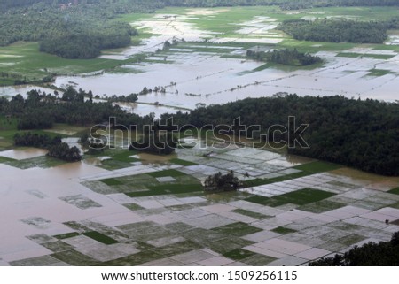 Flooding in rice fields Indonesia