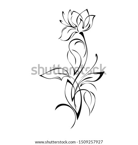 decorative flower with large petals on a stalk with leaves and curls in black lines on a white background