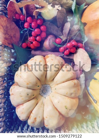 The pumpkin and red rowanberry