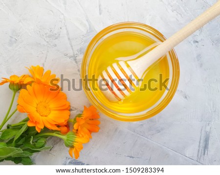 fresh honey flower calendula on a gray concrete background