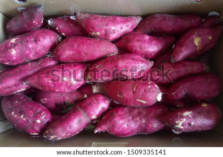 Japanese sweet potato is healthy food heap in brown paper box.