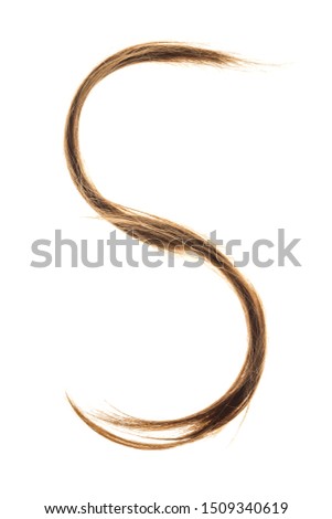 Letters made from woman hair capital S isolated on white background.