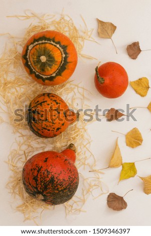 Orange pumpkins on a straw. Autumn leaves. Light background