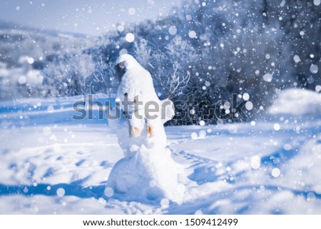 Snowman on a winter day against the background of the forest and snow.