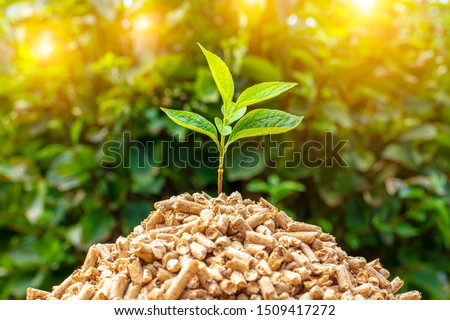 small pile of wood pellets with on top of green leaves. Eco-sustainable biomass concept. Royalty-Free Stock Photo #1509417272