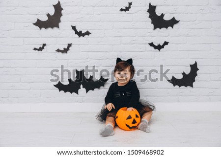 A little girl in a black cat costume with a pumpkin basket on a bats background, trick or treat, Halloween concept.