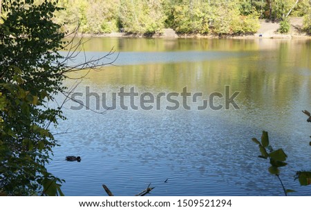 Pond with ducks in the park in warm autumn weather. Sunny autumn day
