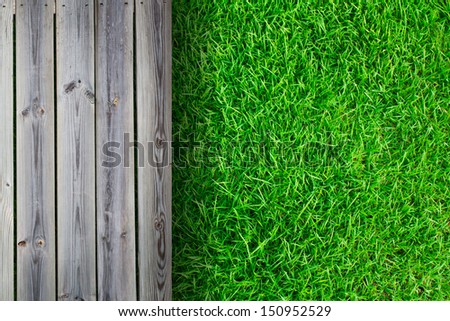 Fresh spring green grass with wood floor