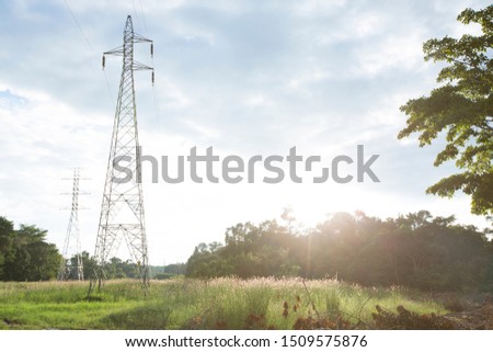 High-voltage electricity poles in the open surrounded by grassland