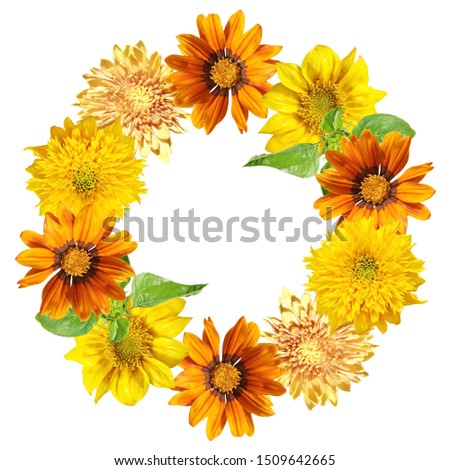Beautiful floral circle of gazania, sunflower and chrysanthemum. Isolated