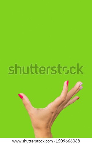 Closeup view of raised beautiful manicured female hand holding invisible virtual big object isolated on green background. Vertical color photography.