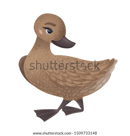 
Duck. Digital illustration for decoration and holiday gift decoration. Animal Wildlife Cartoon Character. Cute beast for children's metrics, toys, stickers, books.