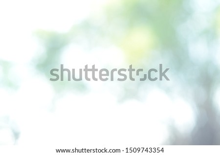 Green bokeh background. Natural green blurred background. Green leaf blur background