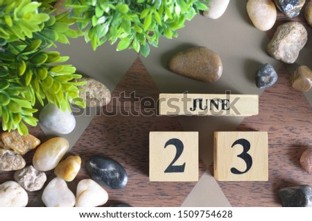 Number cube design with stone, plant on diamon wood background, June month, Date 23.