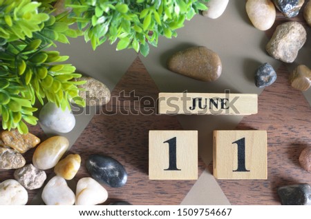 Number cube design with stone, plant on diamon wood background, June month, Date 11.
