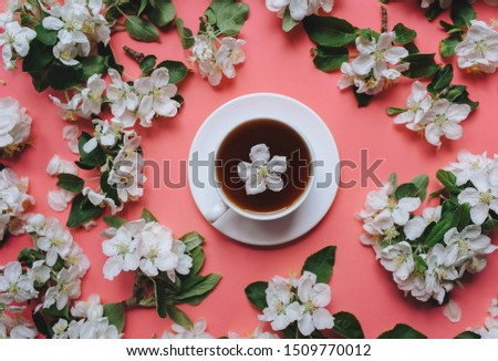 A cup of tea with saucer stands on a pink background surrounded by white flowers of an apple tree. The concept of spring tea and medicinal decoctions. Close up, top view.