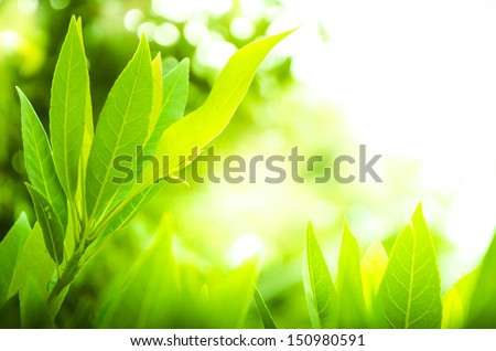 Go Green Concept Leaves Background Royalty-Free Stock Photo #150980591