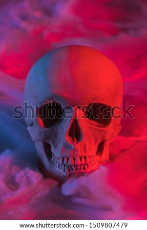 spooky human skull in red lighting with cotton wool, Halloween decoration