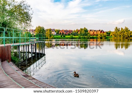 
pier for diving and diving on the shore of the pond in the summer park
