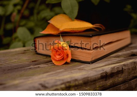 A hardback book lies on a bench in an autumn park, and near the book are yellow leaves and flowers. Emotional romantic photo. Photo in warm evening colors. 