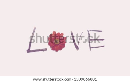 Flowers and branches that are laid into a shape on pink background.