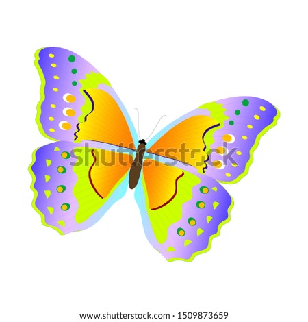 blue butterfly vector design, animals vector design, insect vector concept.