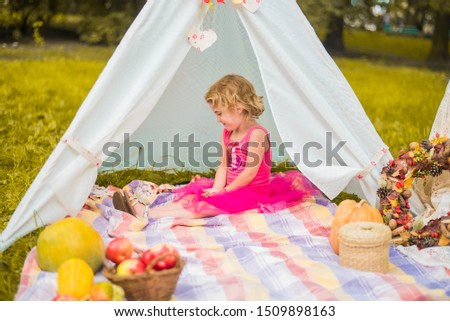 small girl smailling on autumn picnic